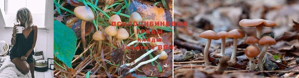 мефедрон VHQ Горно-Алтайск