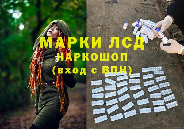 экстази Гусев