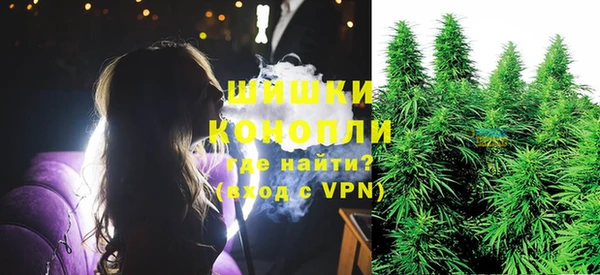 PSILOCYBIN Семёнов