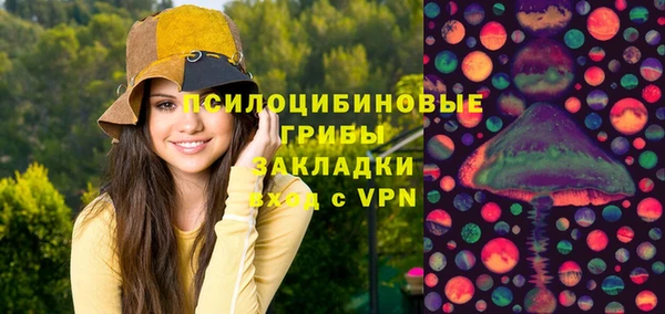 2c-b Гусиноозёрск