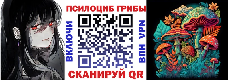 Купить  Павловск  Псилоцибиновые грибы ЛСД 